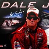 Stern-DALE JR