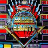 Stern-BLACK BEAUTY Shuffle