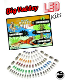 BIG VALLEY (Bally) LED kit