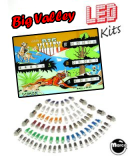 LED Lamp Kits-BIG VALLEY (Bally) LED kit