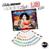 LED Lamp Kits-LADY LUCK (Bally) LED kit