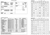 Score / Instruction Cards-GRAND LIZARD (Williams) Backbox tech chart