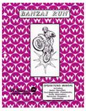 BANZAI RUN (Williams) Manual - Original