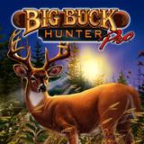 Stern-BIG BUCK HUNTER