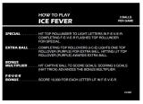 Score / Instruction Cards-ICE FEVER (Gottlieb) Score cards