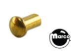 -Semi tubular brass plated rivet Rivet - 1/8 x 5/16 inch