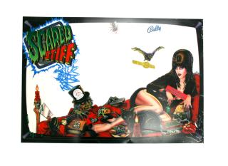 SCARED STIFF (Bally) Translite