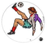 Playfield Plastics-WORLD CUP SOCCER (Bally) Goalie plastic