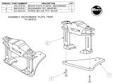 TRON (Stern) Recognizer plate assembly