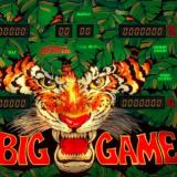 Stern-BIG GAME