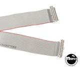 Cables / Ribbon Cables / Cords-Ribbon cable - 20 pin 12 inch