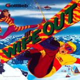 Gottlieb-WIPEOUT