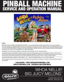 Manuals - W-WHOA NELLIE (Stern) Manual