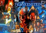 FRANKENSTEIN (Sega) Translite