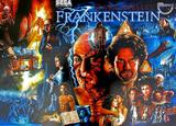 -FRANKENSTEIN (Sega) Translite