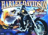 Backbox Art-HARLEY DAVIDSON (Sega) Translite