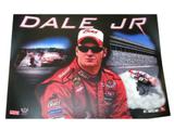 Backbox Art-DALE JR. (Stern) Translite "BUD"