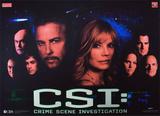 Backbox Art-CSI (Stern) Translite