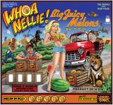 Backbox Art-WHOA NELLIE (Stern) Backglass