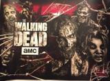 WALKING DEAD PRO (Stern) Translite