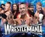 -WWE WRESTLEMANIA PRO (Stern) Translite