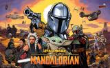 THE MANDALORIAN PRO (Stern SPI) Translite