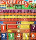 Bally Bingo-TURF KING (Bally Bingo)