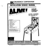 Manuals - A-ALIVE! (Brunswick) Manual