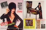 ELVIRA (Bally) Flyer