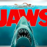 JAWS LE 