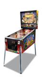 Chicago Gaming Company-CACTUS CANYON REMAKE SE (Chicago Gaming)