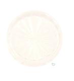 Lamp Covers / Domes / Inserts-Playfield insert 1 inch round Clear star