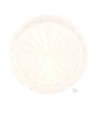 -Playfield insert 1 inch round Clear star